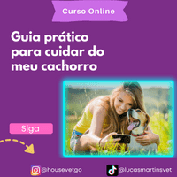 Imagem do curso GUIA PRÁTICO PARA CUIDAR DO MEU CACHORRO