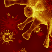 Imagem do curso CURSO DE CAPACITAÇÃO EM INFECTOLOGIA - Bases Clínicas e Tratamento - 320 HORAS