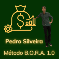 Imagem do curso Método BORA 1.0