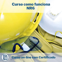 Imagem do produto Curso de como funciona NR6