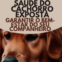 Imagem do produto SAÚDE DO CACHORRO EXPOSTA: UM GUIA ABRANGENTE PARA GARANTIR O BEM-ESTAR DO SEU COMPANHEIRO CANINO