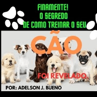 Imagem do produto FINALMENTE REVELADO O SEGREDO PARA TREINAR O SEU CÃO