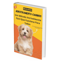 Imagem do produto ADESTRAMENTO-CANINO-Um-Metodo-Incrivelmente-Facil-Que-Funciona-Para-Todos