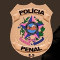 Imagem do produto Polícia Penal ES (SEJUS)