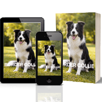 Imagem do produto BORDER COLLIE - CONHEÇA E SAIBA COMO TRATAR SEU AMIGUINHO