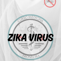 Imagem do curso E-book Zika Vírus