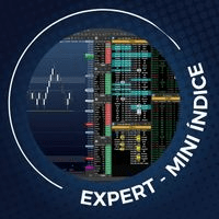 Imagem do curso EXPERT - TREINAMENTO DE ESPECIALIZAÇÃO EM MINI ÍNDICE