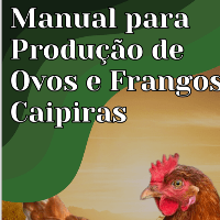 Imagem do produto Criação de Frango e Ovos Caipira