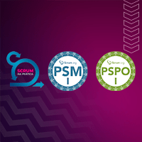 Imagem do produto Combo - Professional Agile Coach