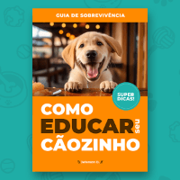Imagem do produto Como Educar seu Cãozinho