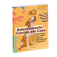 Imagem do curso Adestramento Canino em Casa + Mapa Mental Adestramento Canino