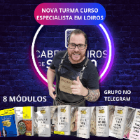 Imagem do produto Curso especialista em Loiros turma mentoria