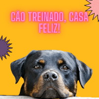 Imagem do produto Cão Treinado, Casa Feliz:O Ebook Definitivo para Adestrar seu Cachorro