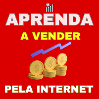 Imagem do curso Aprenda a vender pela a internet 2.0