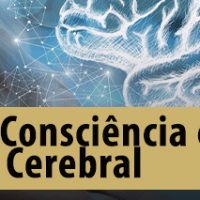 Imagem do produto Níveis de Consciência e Estrutura Cerebral