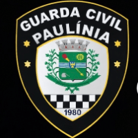Imagem do curso PAULÍNIA - CURSO COMPLETO