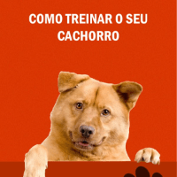 Imagem do curso Como Adestrar o Seu Cachorro