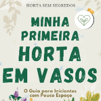 Imagem do produto Minha Primeira Horta em Vasos: O guia para iniciantes com pouco espaço