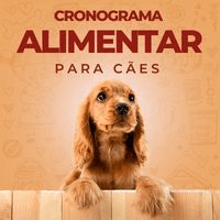 Imagem do produto Cronograma Alimentar para Cães