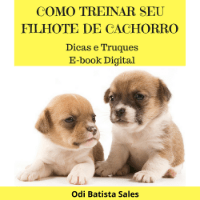 Imagem do produto Como Treinar seu Filhote de Cachorro - E-Book