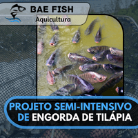 Imagem do produto PROJETO  DE  IMPLANTAÇÃO  DE  UMA PISCICULTURA COM PRODUÇÃO MEDIA DE 1 TONELADA MÊS