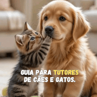 Imagem do curso Guia completo para tutores de cães e gatos.