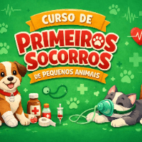Imagem do curso CURSO DE PRIMEIROS SOCORROS PARA PEQUENOS ANIMAIS - CÃES E GATOS
