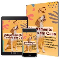 Imagem do curso como treinar seu cão em casa!