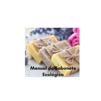 Imagem do curso Manual do Sabonete Ecológico