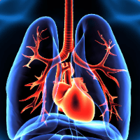 Imagem do produto Curso de aperfeiçoamento em FISIOTERAPIA CARDIORRESPIRATÓRIA - Certificado 320 horas