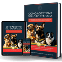 Imagem do produto Como adestrar seu cão em casa