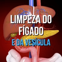 Imagem do produto Ebook LIMPEZA DO FÍGADO E DA VESÍCULA
