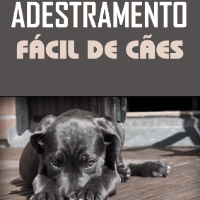 Imagem do curso Adestramento Fácil de Cães.