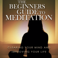 Imagem do curso O Guia para Iniciantes de Meditação