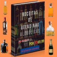 Imagem do produto 40 Receitas de Sacolé Alcóolico