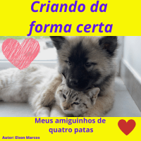 Imagem do produto Criando da Forma Certa