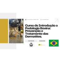 Imagem do curso Curso de Casqueamento de Bovinos: Curso de Introdução a Podologia Bovina: Prevenção e Tratamento das Dermatites..