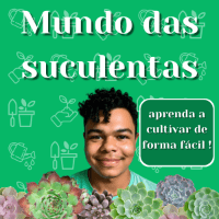 Imagem do produto mundo das suculentas - aprenda a cultivar de forma fácil as gordinhas mais amadas do mundo -