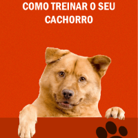 Imagem do produto Como Treinar seu Cão