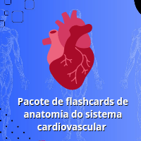 Imagem do produto Pacote de Flashcards de Anatomia - Sistema Cardiovascular