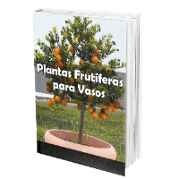 Imagem do curso Plantas Frutíferas Para Vasos