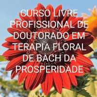 Imagem do produto CURSO LIVRE PROFISSIONAL DE DOUTORADO EM TERAPIA FLORAL DE BACH DA PROSPERIDADE