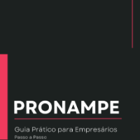 Imagem do curso PRONAMPE 2025 - GUIA PRÁTICO