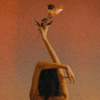 Imagem do curso Revolução da Sensualidade