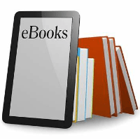Imagem do curso O Rei do E-book