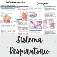 Imagem do produto Apostila de resumos do Sistema Respiratório