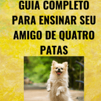 Imagem do produto ADESTRAMENTO DE CÃES EM CASA: O GUIA COMPLETO PARA ENSINAR SEU AMIGO DE QUATRO PATAS