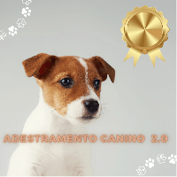 Imagem do produto Adestramento canino 2.0