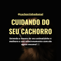 Imagem do curso CUIDANDO DO SEU CACHORRO