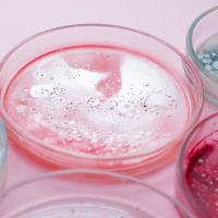 Imagem do curso Curso EAD - Bacteriologia Aplicada à Biotecnologia - Certificado 120 horas incluso
